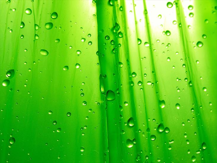 walzzz - Funny_wallpapers_Creative_Wallpaper_Green_drops_015272_.jpg