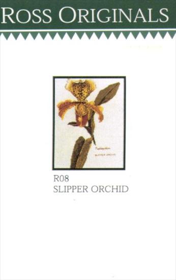 Orchidee - Slipper Orchid - R08 - Ross Originals.jpg