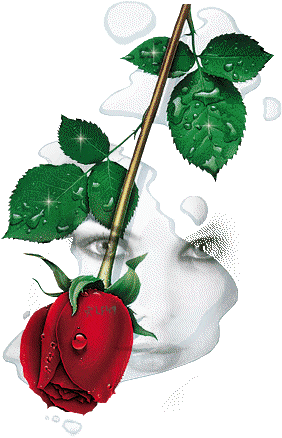róże czerwone - róza 5.gif