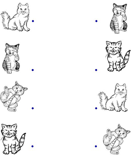 zaznacz jednakowe - połącz w pary kotki.JPG