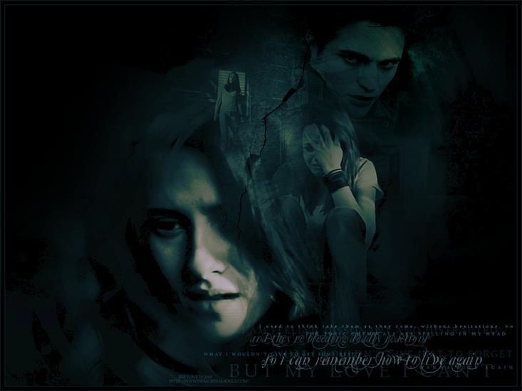Edward,Bella i reszta - newmoon_buticant.jpg