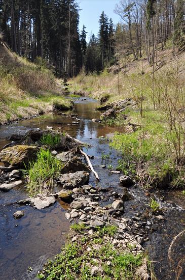 Siedmica-Rezerwat-Czechy - dsc_4504_25479151440_o.jpg