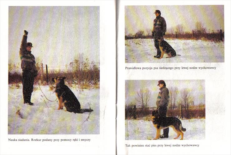 Jak szkolić własnego psa - Irena Liniewicz, Leonard Wach e-Book PL - jswp00003.jpg