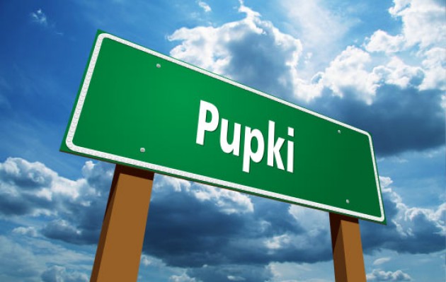 Najdziwniejsze nazwy miejscowości w Polsce - PUPKI.jpg