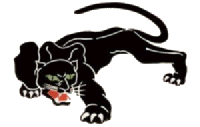 Koty dzikie - panthere1.gif