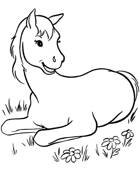 kolorowanki - do wydruku kolorowanki konie zwierzęta kolorowanka konie malowanka do wydruku 10a.gif