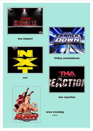 WWE - okładki wwe 2.jpg