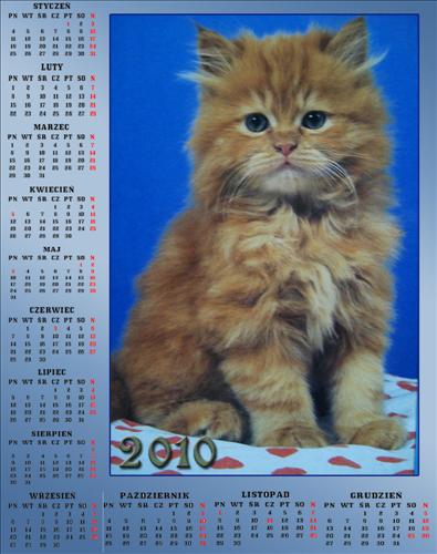 Kalendarze 2013 - Kalędarz3.jpg