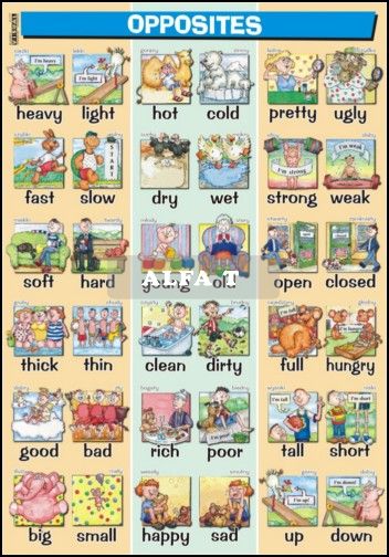 Angielski dla dzieci - Angielski dla dzieci- plansze.jpg