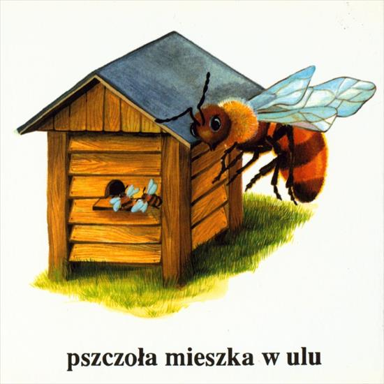 ul, pszczoły - pszczoła i ul.jpg