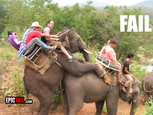 Wtopy - safari-fail-elephant-sex.jpg