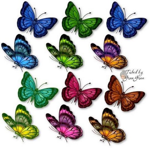 Obrazki Motyle - borboleta203.jpg