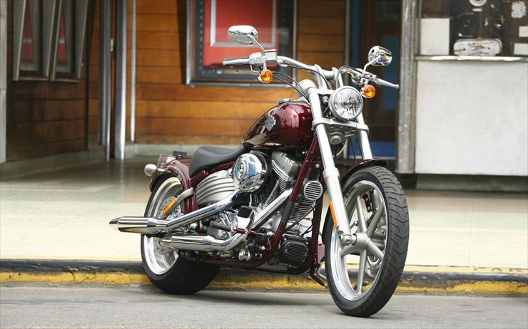 Harley - Harley 80.jpg