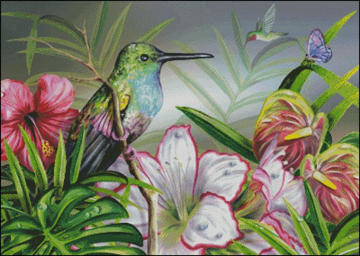 Gałązki i ptaki - Lovely Hummingbird  Lori Schory.jpg