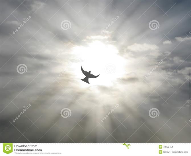 ładne - wielkanocny-świętego-ducha-pokoju-gołąbki-latanie-przez-...twartego-nieba-chmurnieje-z-słońce-promieniami-48722454.jpg