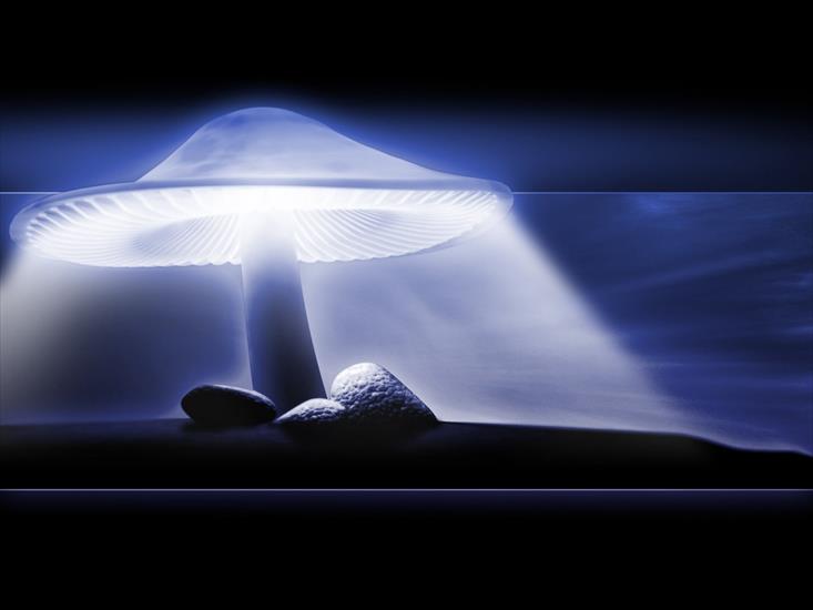 3D - Neon_mushroom.jpg
