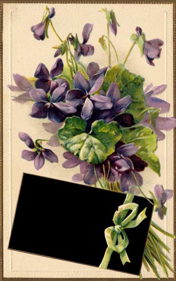 Kwiaty - Postcard _138.png
