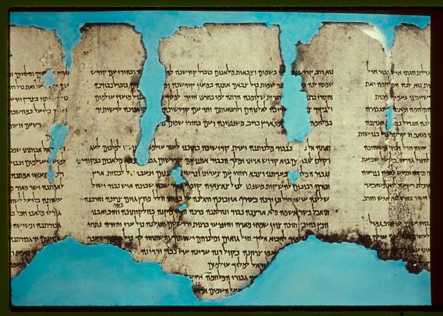 Rękopisy z Qumran - The_War_Scroll_-_Dead_Sea_Scroll. Fragment Zwoju Wojny.jpg