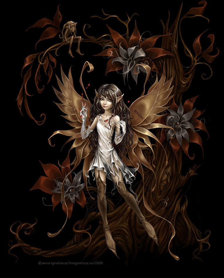 Fairy - o_fairy.jpg