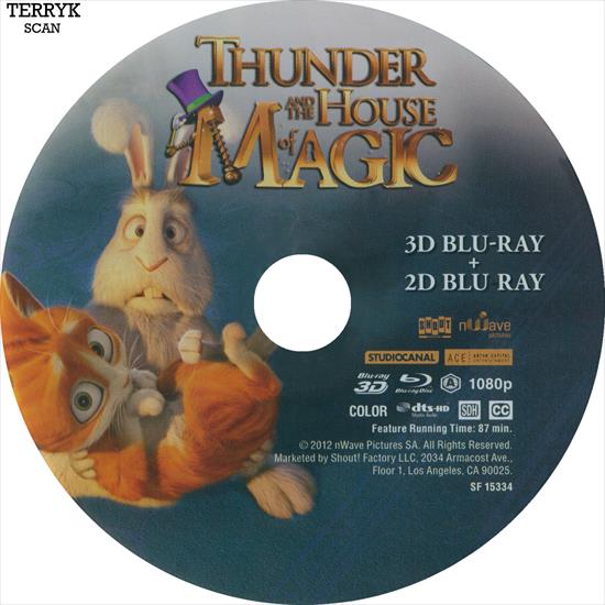 ETYKIETY - Thunder and the House of Magic .cd.jpg