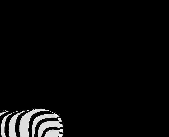 Zebra - g0150368.WMF
