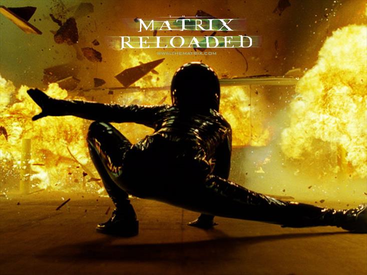 Matrix - Trinity 15.jpg