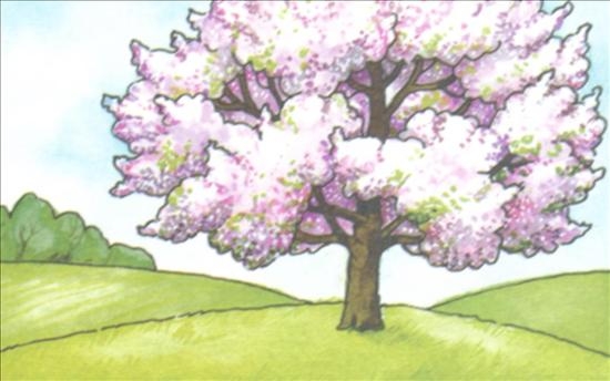 Wiosna - wiosenne drzewo.jpg