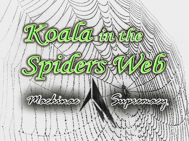 Koala in the Spiders Web - KoalaSpidersWeb-BG1.png