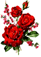 Róże nie tylko czerwone - rose653.gif