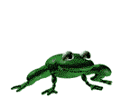 Animowane - jumpfrog.gif