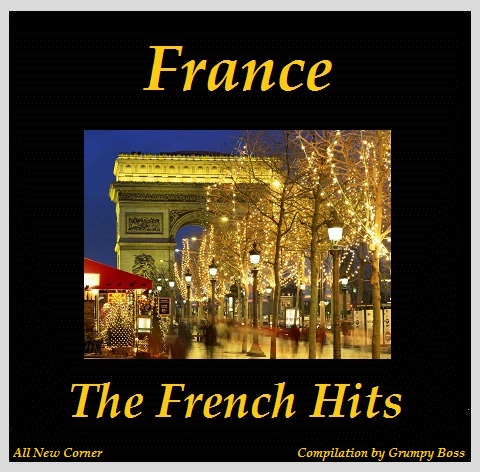 VA - France  The French Hits 2013 - The French Hits.jpg