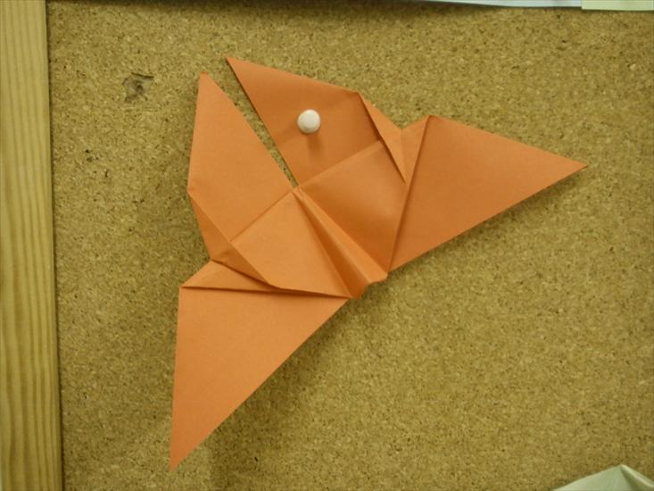 obrazki2 - motyl origami.JPG