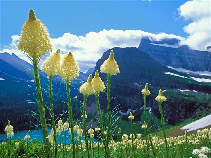 tapety widoki - beargrass_grinnell_lake.jpg