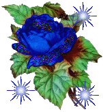  kwiaty1 - roza niebieska5f292.gif