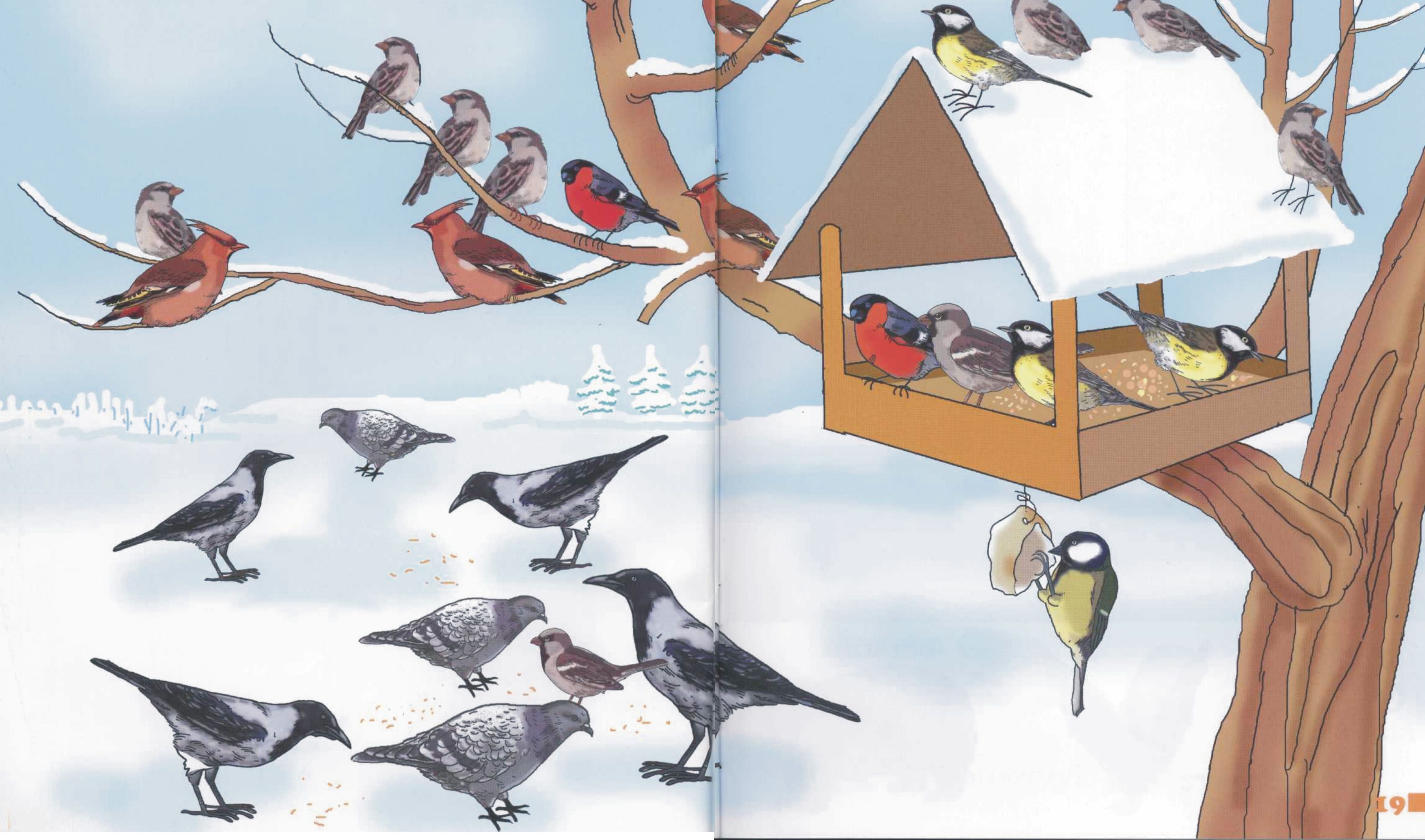 Pomagamy zwierzęt... - 8 Zima, pomagamy ptakom i zwierzętom ptaszki w karmiku zimą.jpg