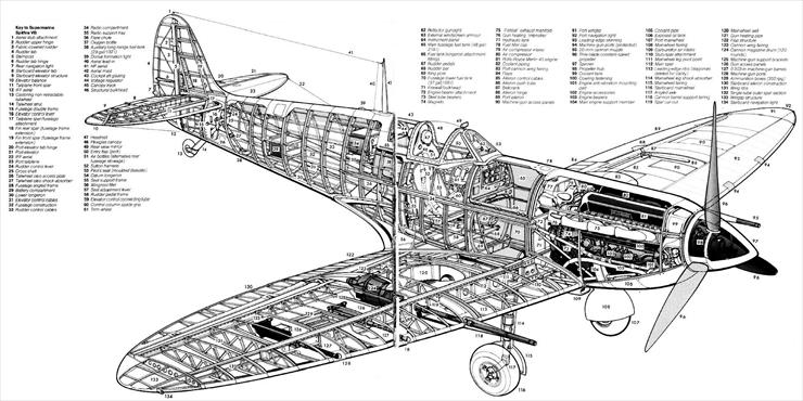 przekroje_3D - Spitfire MkVB.tif