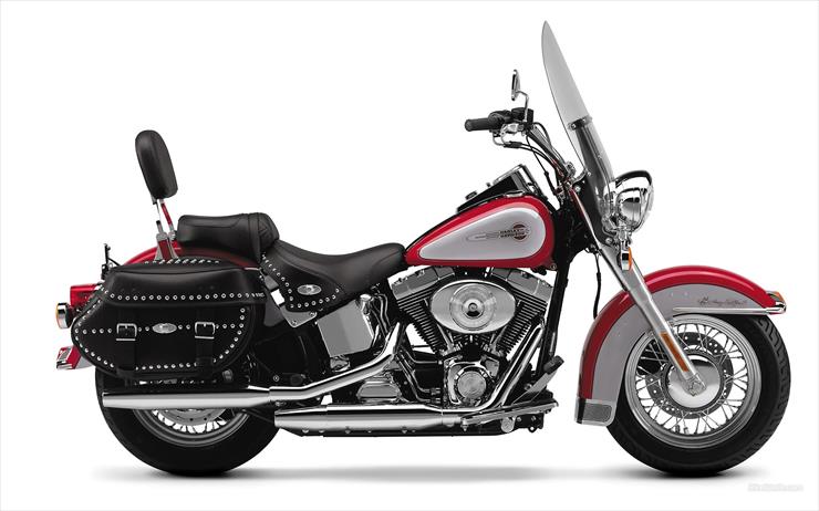 Harley - Harley 74.jpg