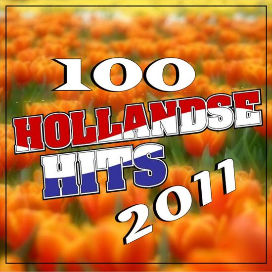 Hollandse Hits 2011 - COVER.jpg
