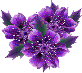 Kwiaty - Obraz12.gif
