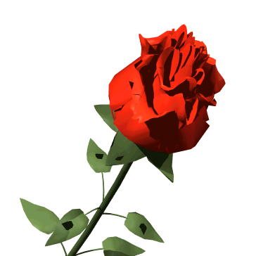 Animacje sliczne - kwitnąca róża.gif