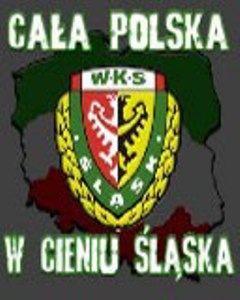 WKS Śląsk Wrocław - Slask4.JPG