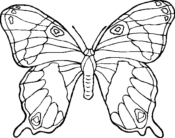 motyle - clr-buterfly.gif