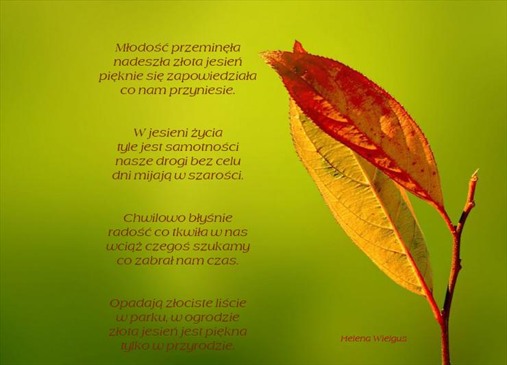 Poezja - Zlota jesien.jpg