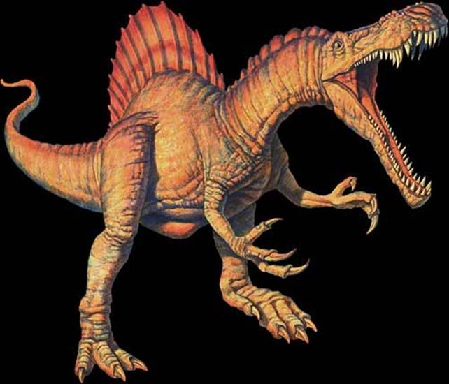 dinozaury - Spinosaurus1.jpg