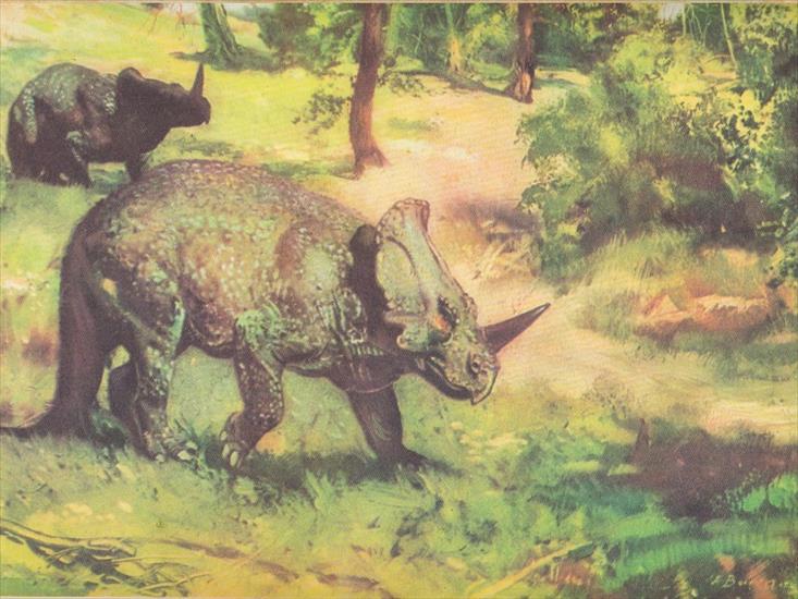 dinozaury - dino-11.jpg