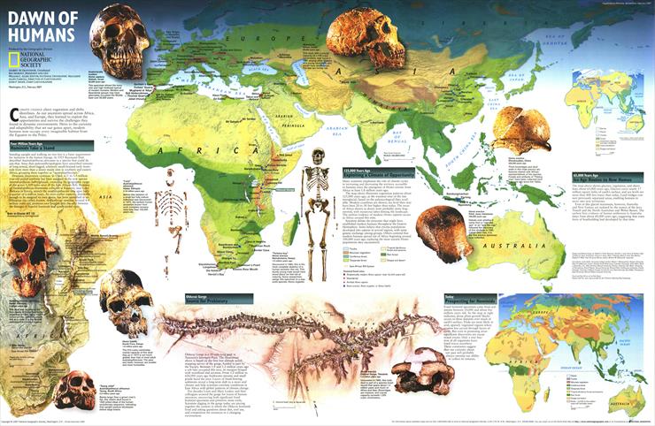 Mapy National Geographic. 539 map. Wysoka jakość - World Map - Dawn of Humans 1997.jpg