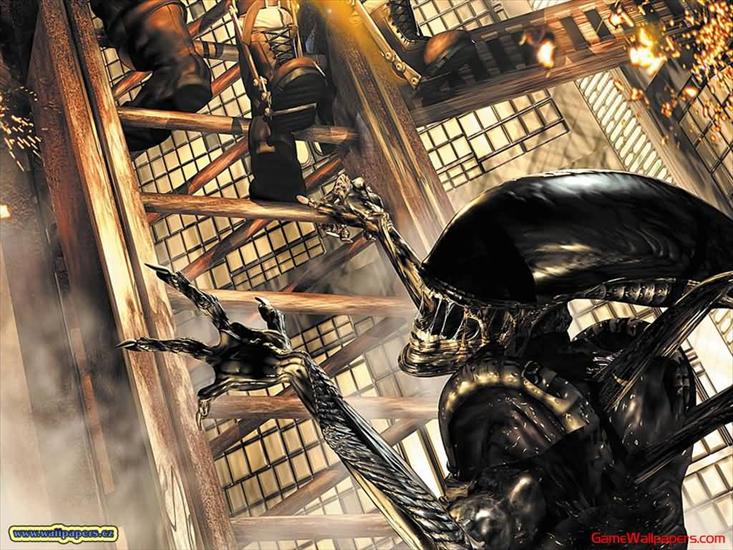 Alien VS Predator - 12.jpg