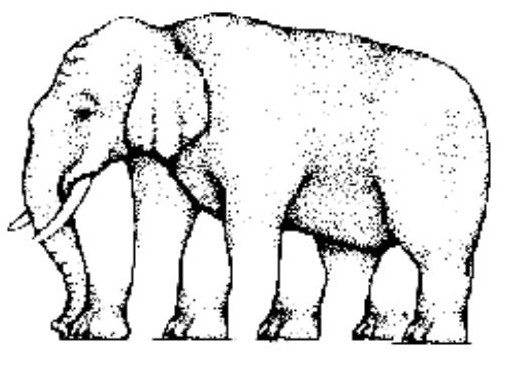 złudzenia optyczne - slon.jpg