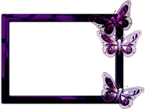 rameczki,winiety - DBV purpleMBF 02.png