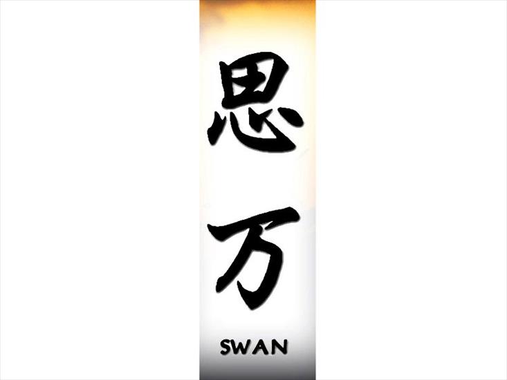 S_800x600 - swan.jpg